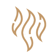 speicialist-cleaning